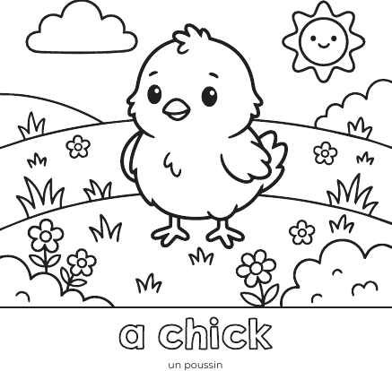 Page à colorier : un poussin dans un pré